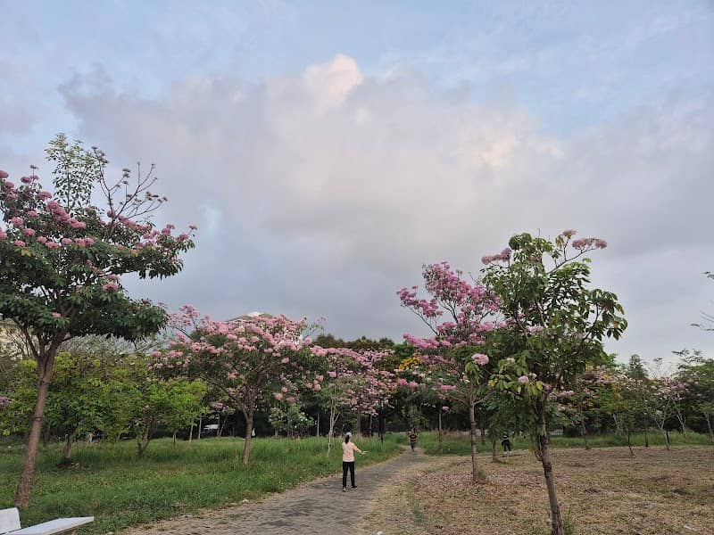 Saigon Wonderland Park - Image 1