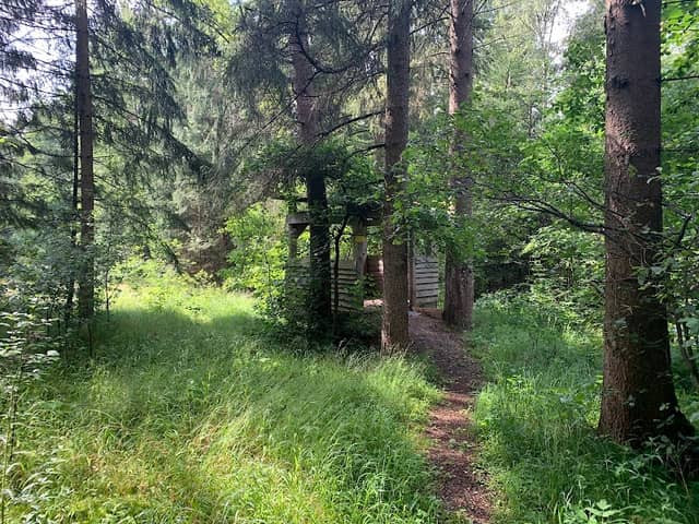 Tierbeobachtungskanzel - Image 1