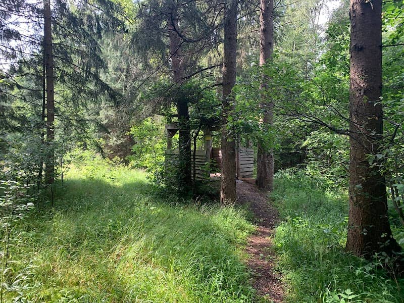 Tierbeobachtungskanzel - Image 1