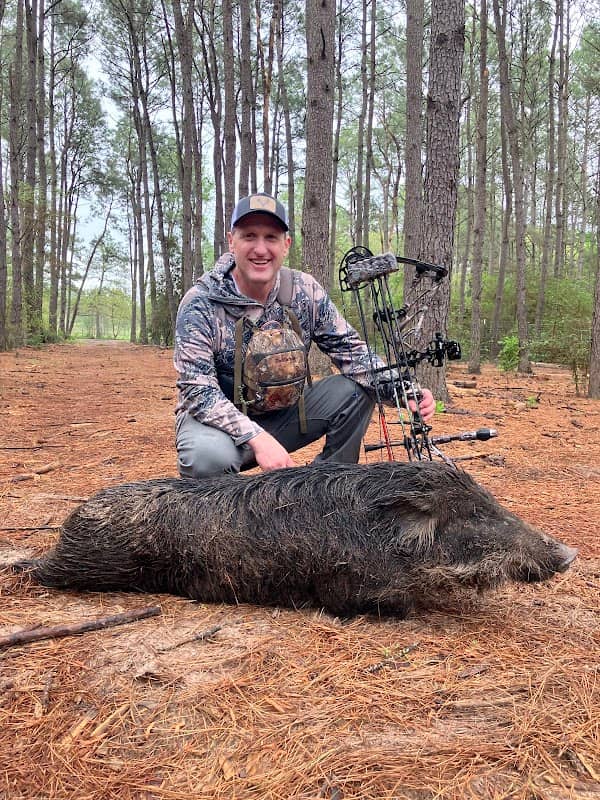 Boars All Day - Image 1