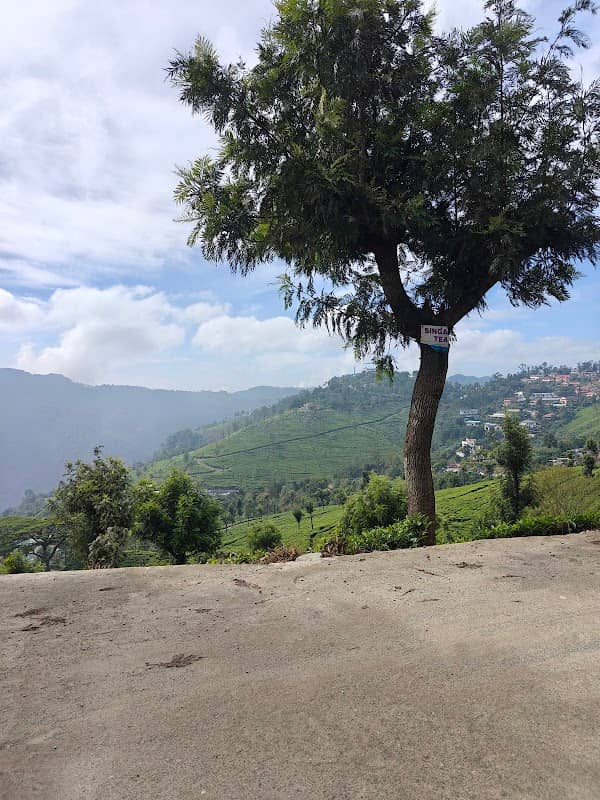 Valley View Point - Image 1