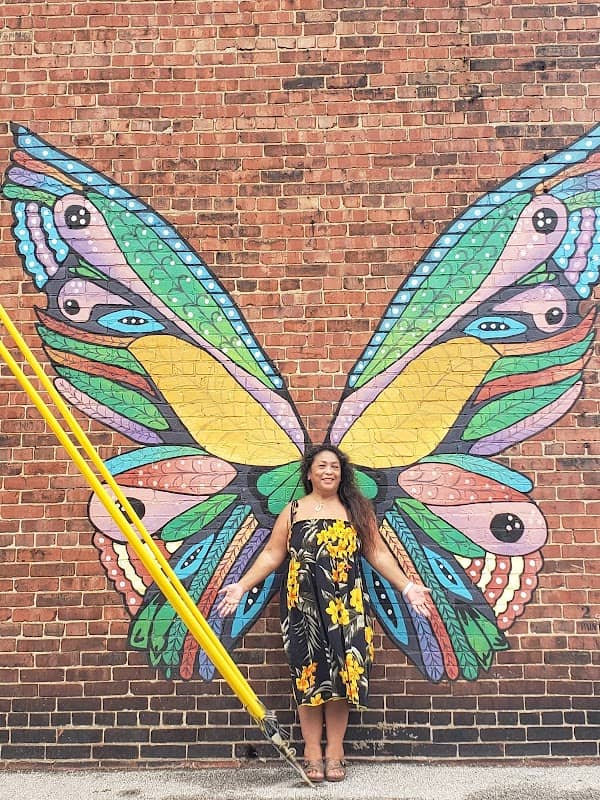 Peru Wings art mural - Image 1