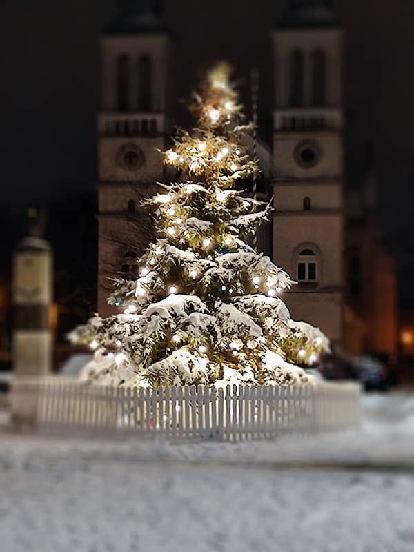 Plac Orląt Lwowskich - Image 1