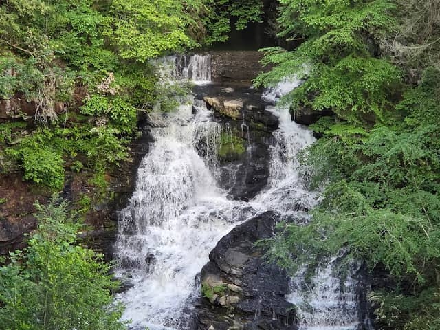Pisgah Gorge Falls - Image 2