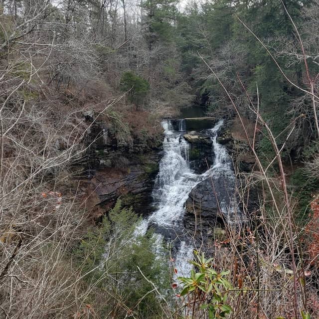 Pisgah Gorge Falls - Image 1