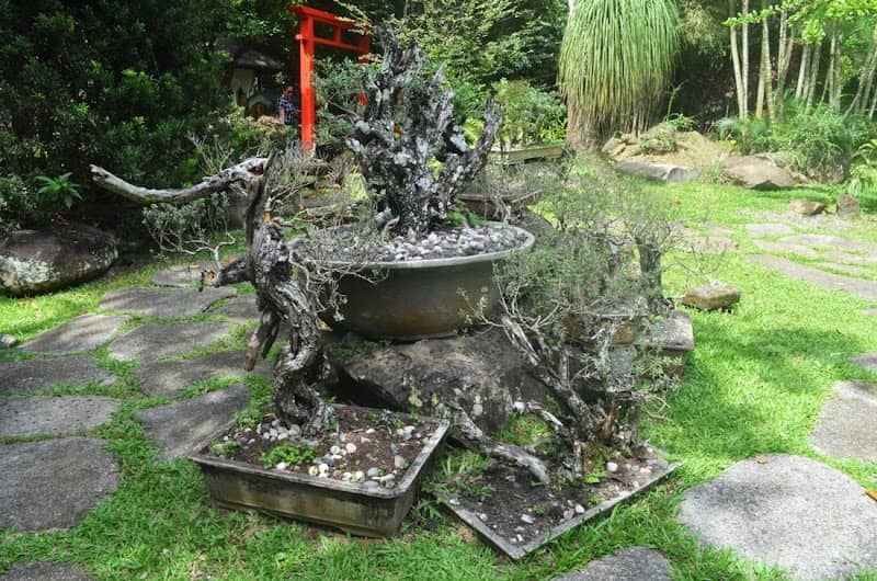 Zen Garden - Image 1