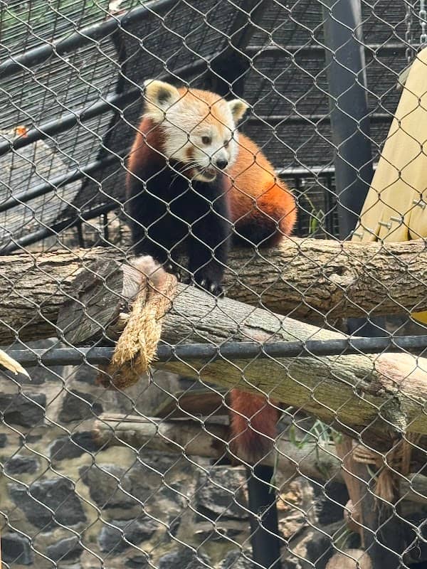Brandywine Zoo - Image 2