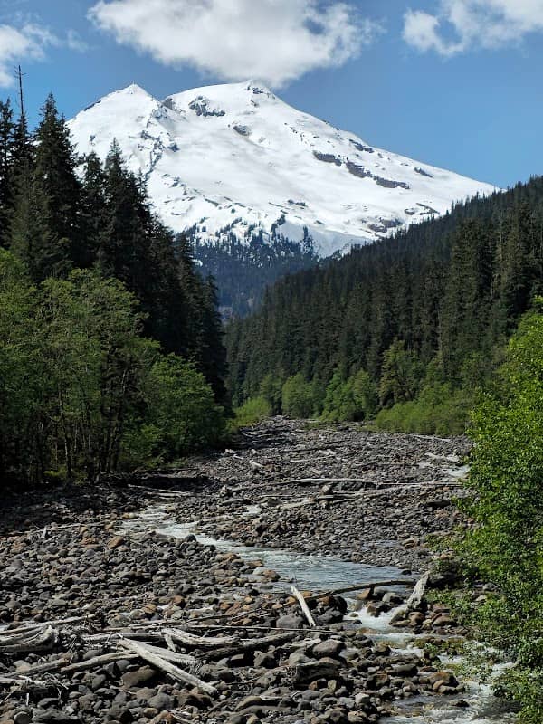 Nf-11/ Boulder Creek - Image 2