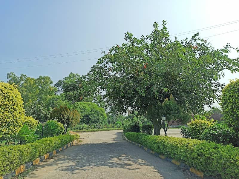 Van Chetna Park - Image 1