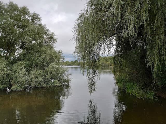 Delta Hide - Image 2
