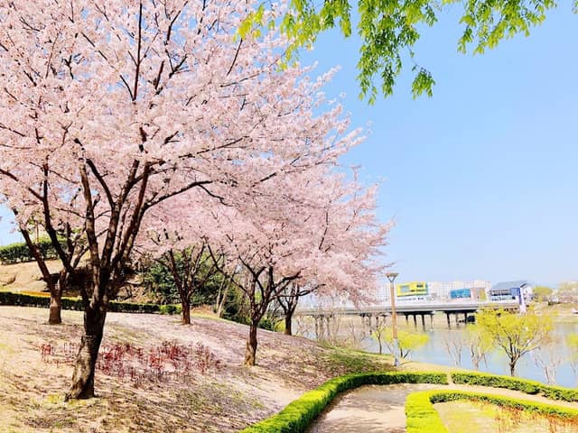 금호강 자연생태공원 - Image 1