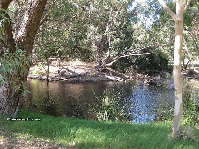 Shearwater Spoonbill Reserve - Image 1