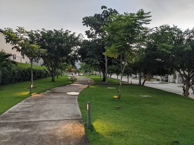 Greenway | Panamá Pacífico - Image 1