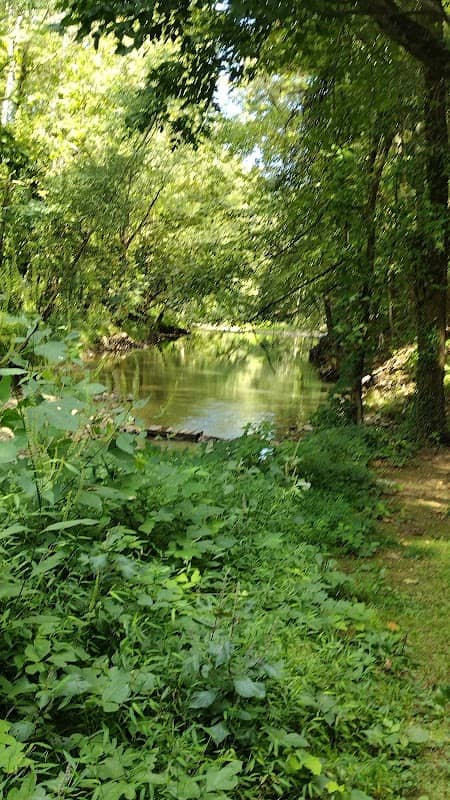 Walking Trail - Image 1