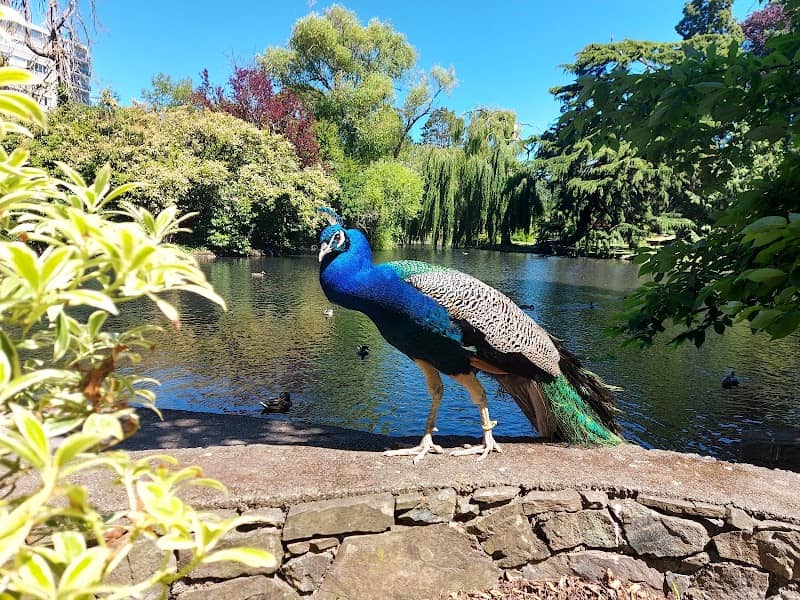 Beacon Hill Park - Image 3