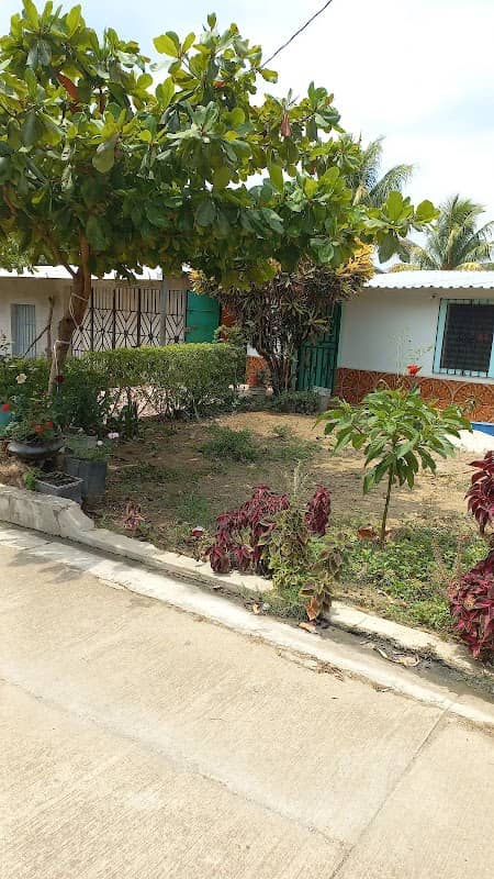 El Zacatal - Image 1