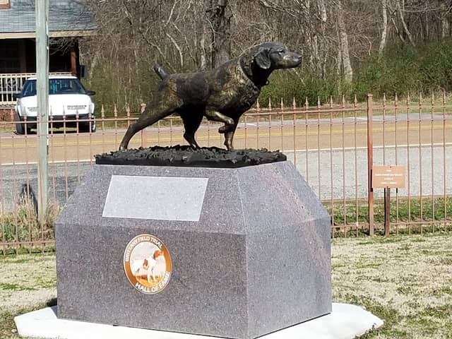 National Bird Dog Museum - Image 1