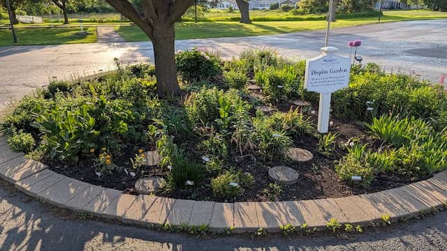 Display Garden - Image 1