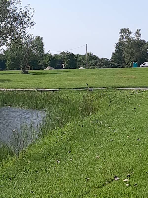 Veteran's Memorial Park - Image 2