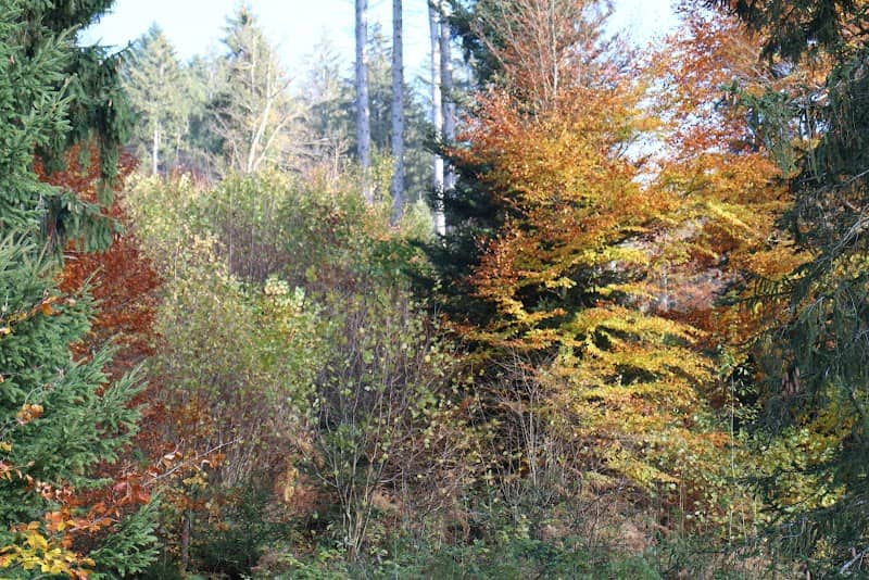 La Bria - Image 1