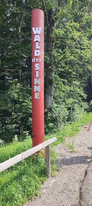 Wald der Sinne Sonntagberg - Image 2