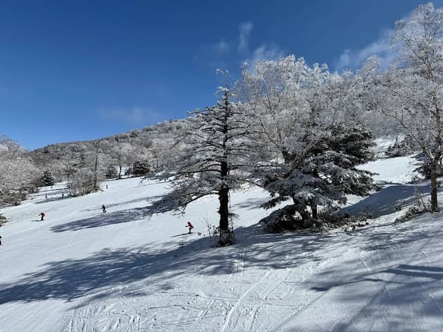 Tanne no mori Okojo Ski Area - Image 1