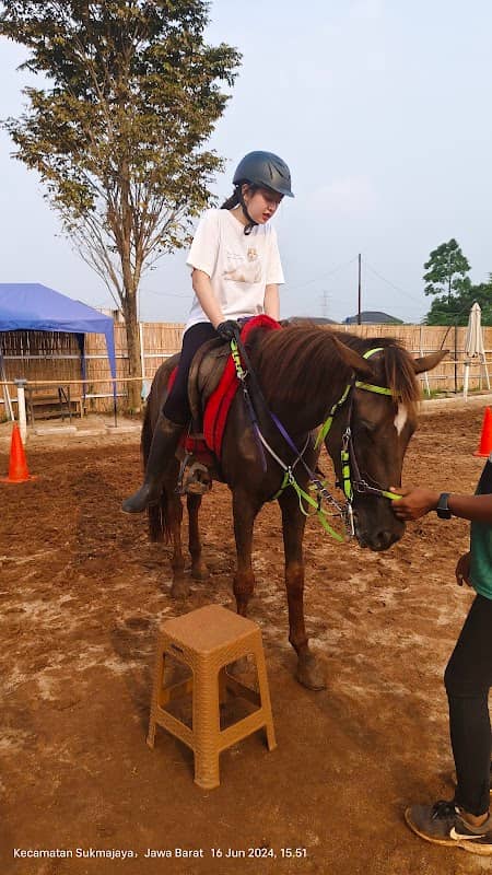 Algontory stable dpk - Image 1