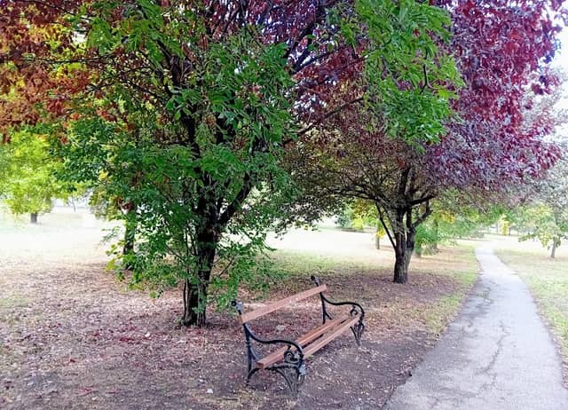 Železnički park - Image 2