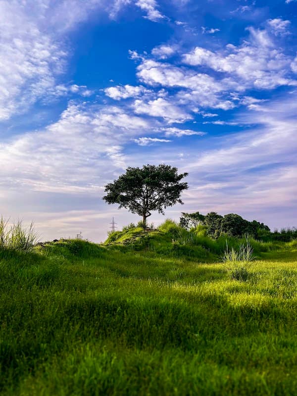 Sunset View Point - Image 1