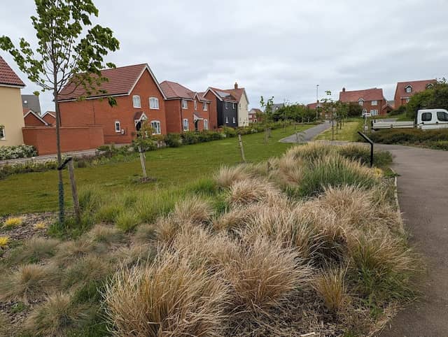 The Albert Hurrell Park - Image 2