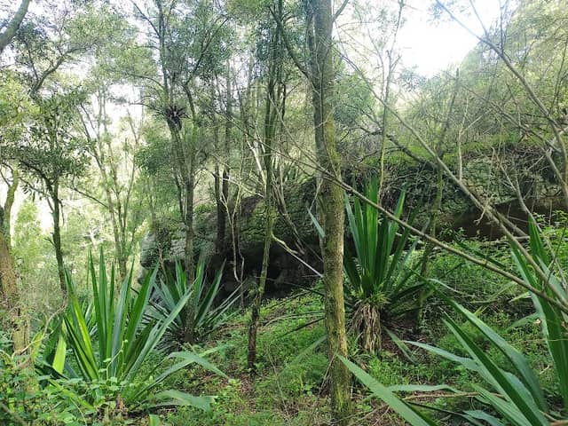 Piedras del Vagón - Image 1