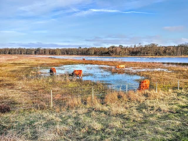 Laarder Wasmeer - Image 1