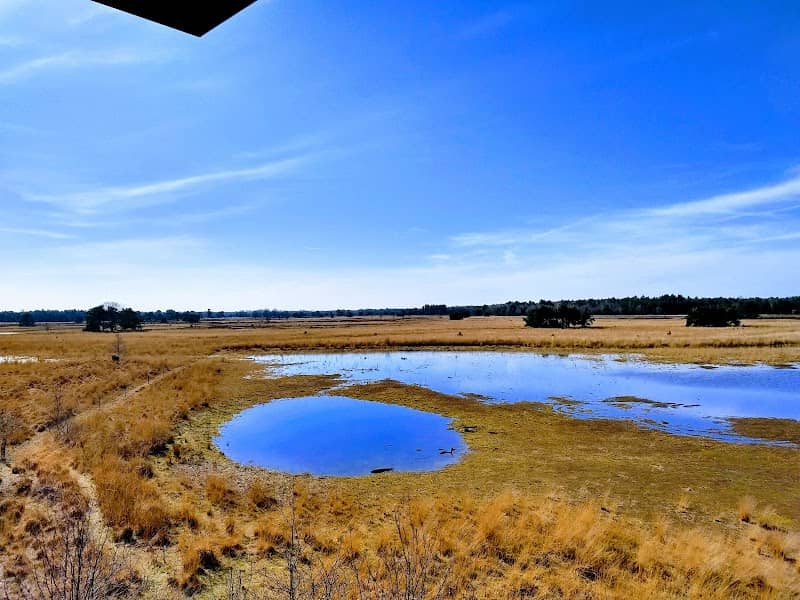 Uitkijktoren Landschotse Heide - Image 1