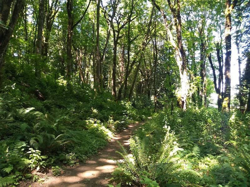 Deadman's Pond - Image 3