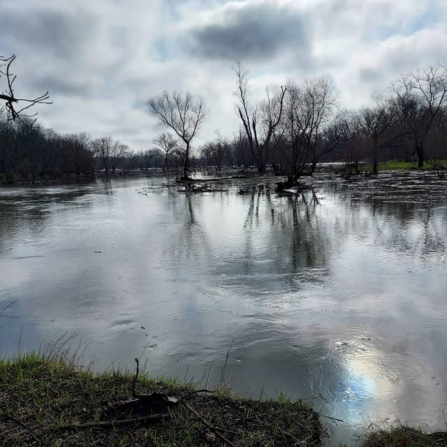 Wadsworth Savanna Forest Preserve - Image 2