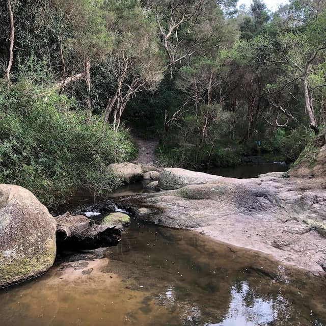 Lower Sweetwater Creek Nature Reserve - Image 2