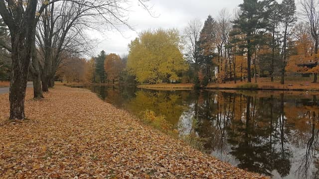 Arthur Helms Park - Image 2