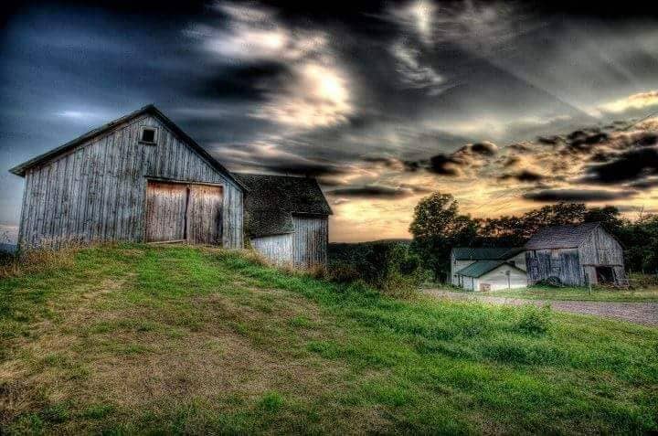 Weathered Hill Farm llc - Image 1