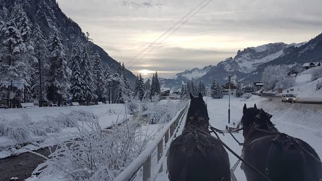 Giro in slitta Campitello di Fassa - Image 1