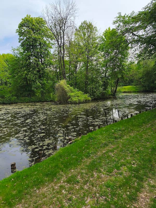 Zámecký rybník - Image 1
