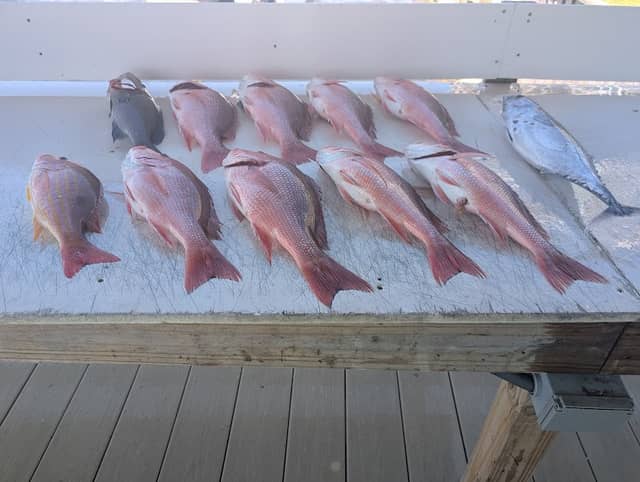 B and Z Charters LLC. - Image 1