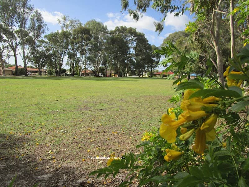 Sir Albert Jennings Park - Image 3