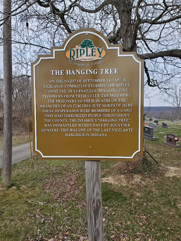 The Hanging Tree - Image 1