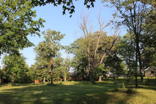 Kilmer Park and Arboretum - Image 2