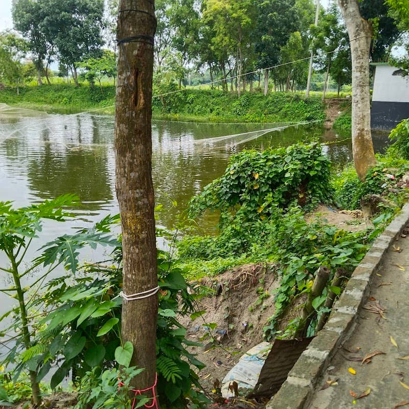 আবির জরি হাউজ - Image 1
