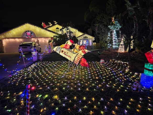 Fantastic Christmas Light Neighborhood Show - Image 2