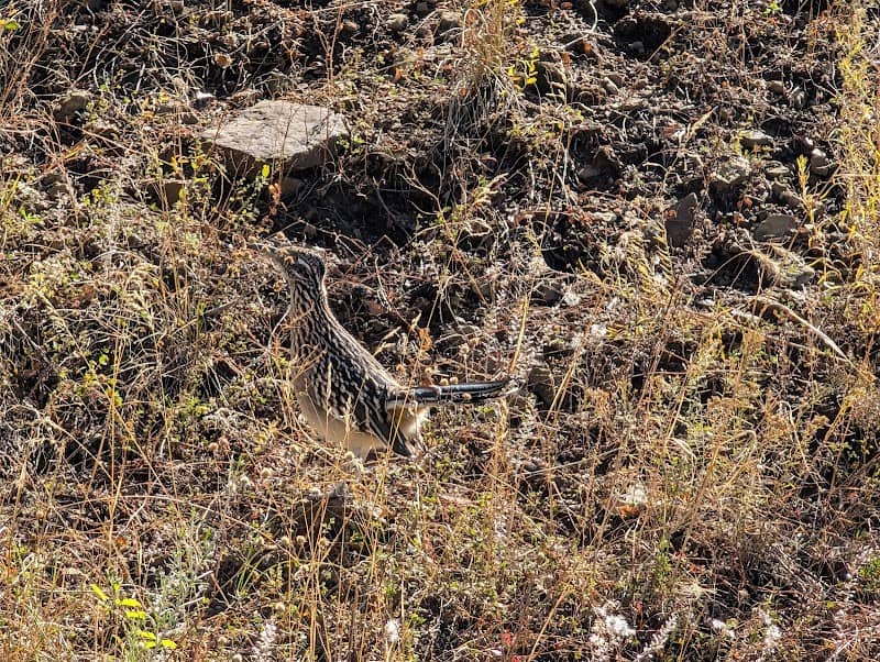 Fishers Peak Trail - Image 2