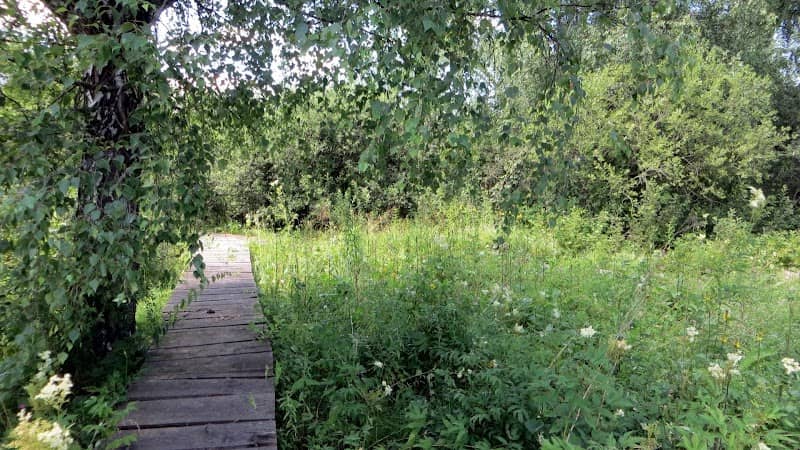 Rezervația naturală Borșaroș - Image 1