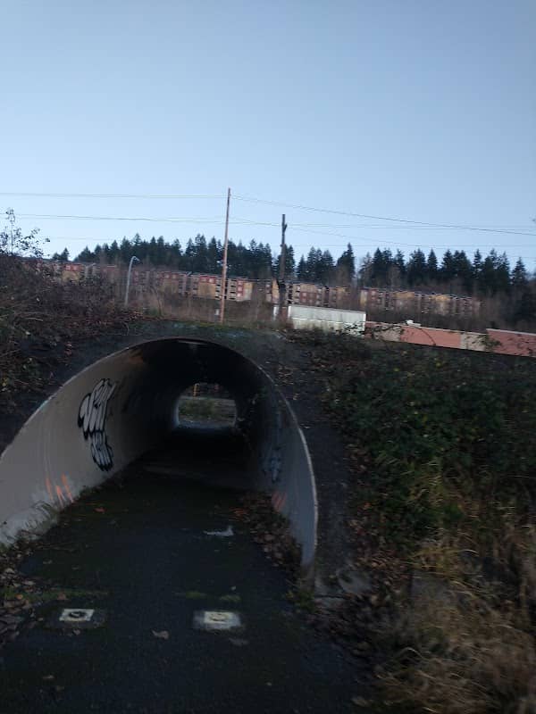 Lake Tapps Parkway Trail access - Image 2