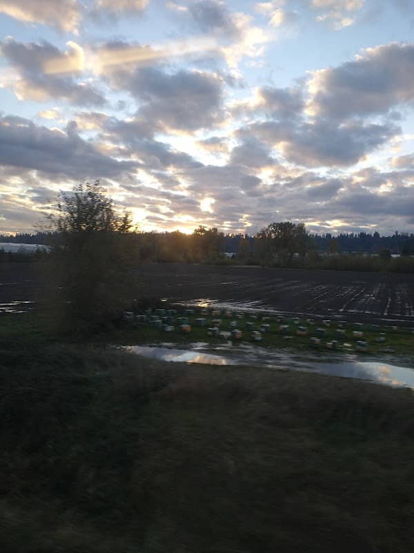 Lake Tapps Parkway Trail access - Image 1